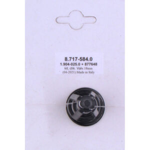 Hotsy Valve Kit